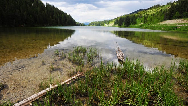 Wood Lake located on Bench Mark Road in the Helena-Lewis and Clark National Forest near Augusta, Montana, experienced a large fish die off over the winter.