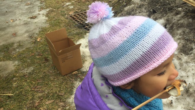 Francesca Manor, 2, eats a marshmallow from the end of a wooden prong, which her grandmother held out for her. It was her first time at Winterfest.