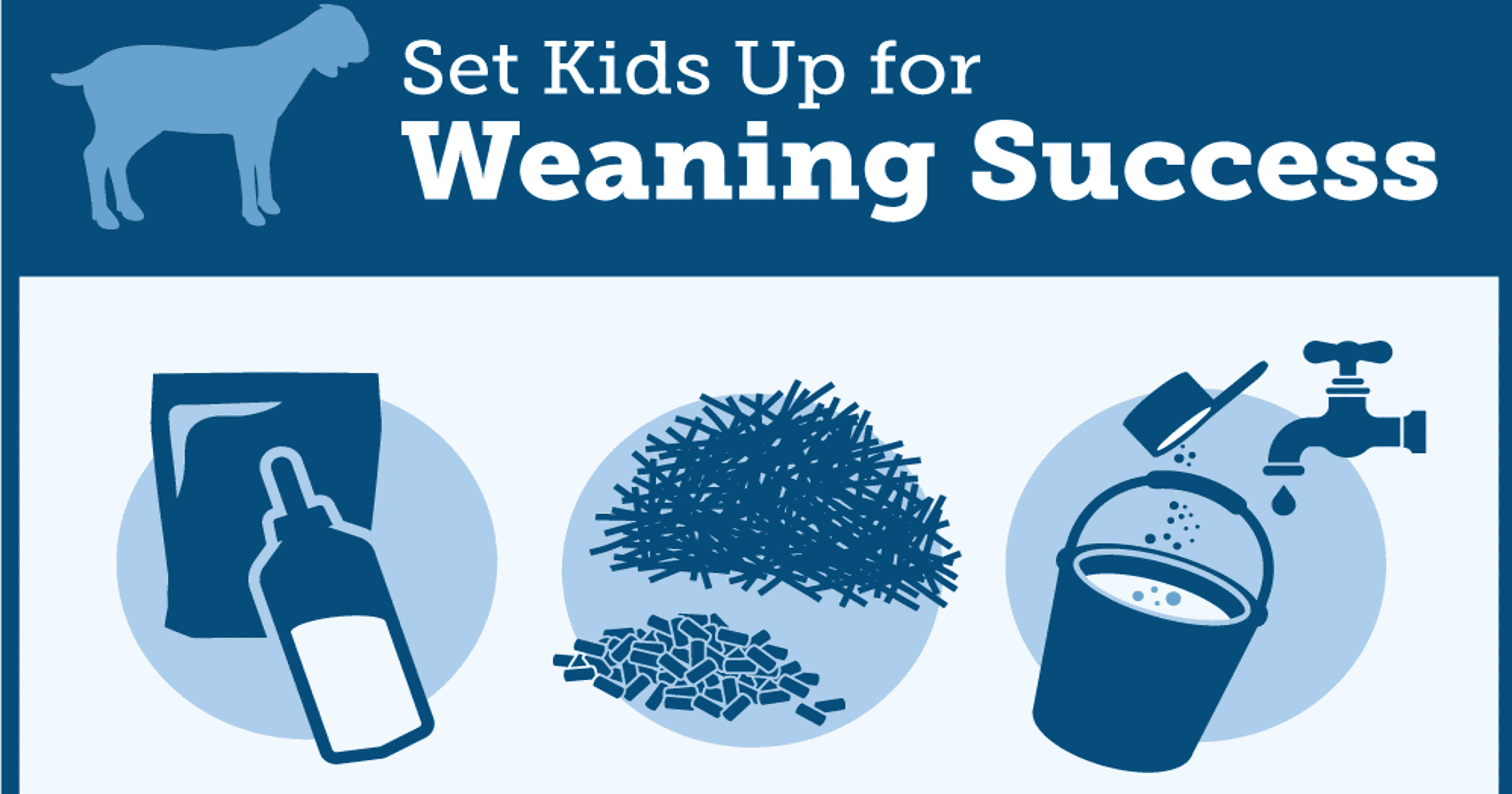 Six tips to make weaning less stressful for goat kids