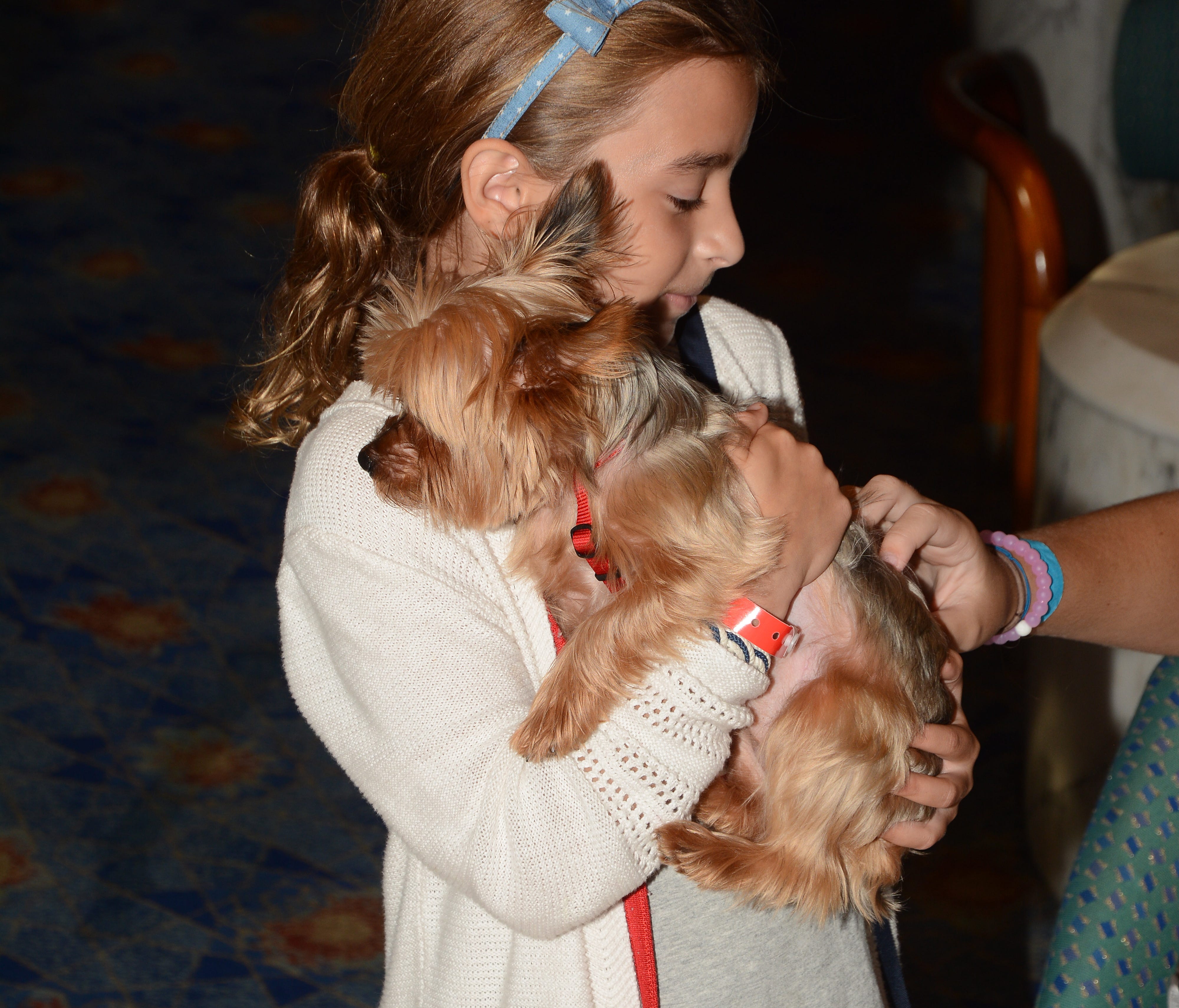 A young family member of a Royal Caribbean employee holds onto a dog brought along on the line's Enchantment of the Seas when it sailed out of Miami to avoid Hurricane Irma.