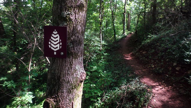 The South Loop Trail in the Knoxville Urban Wilderness is seen Aug. 8, 2015, at Ijams Nature Center.