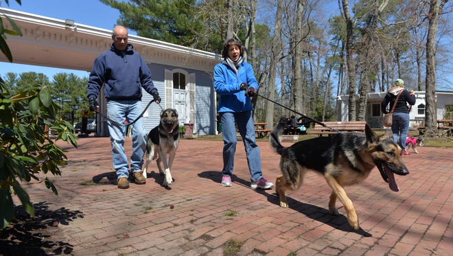 Frank and Sharon Oliveri, of Vineland, bring their German shepherds, Rambo (left), and Cherokee, 16 month-old siblings, to WheatonArts' Paws for Art event Sunday, Apr. 10, 2016 in Millville.  