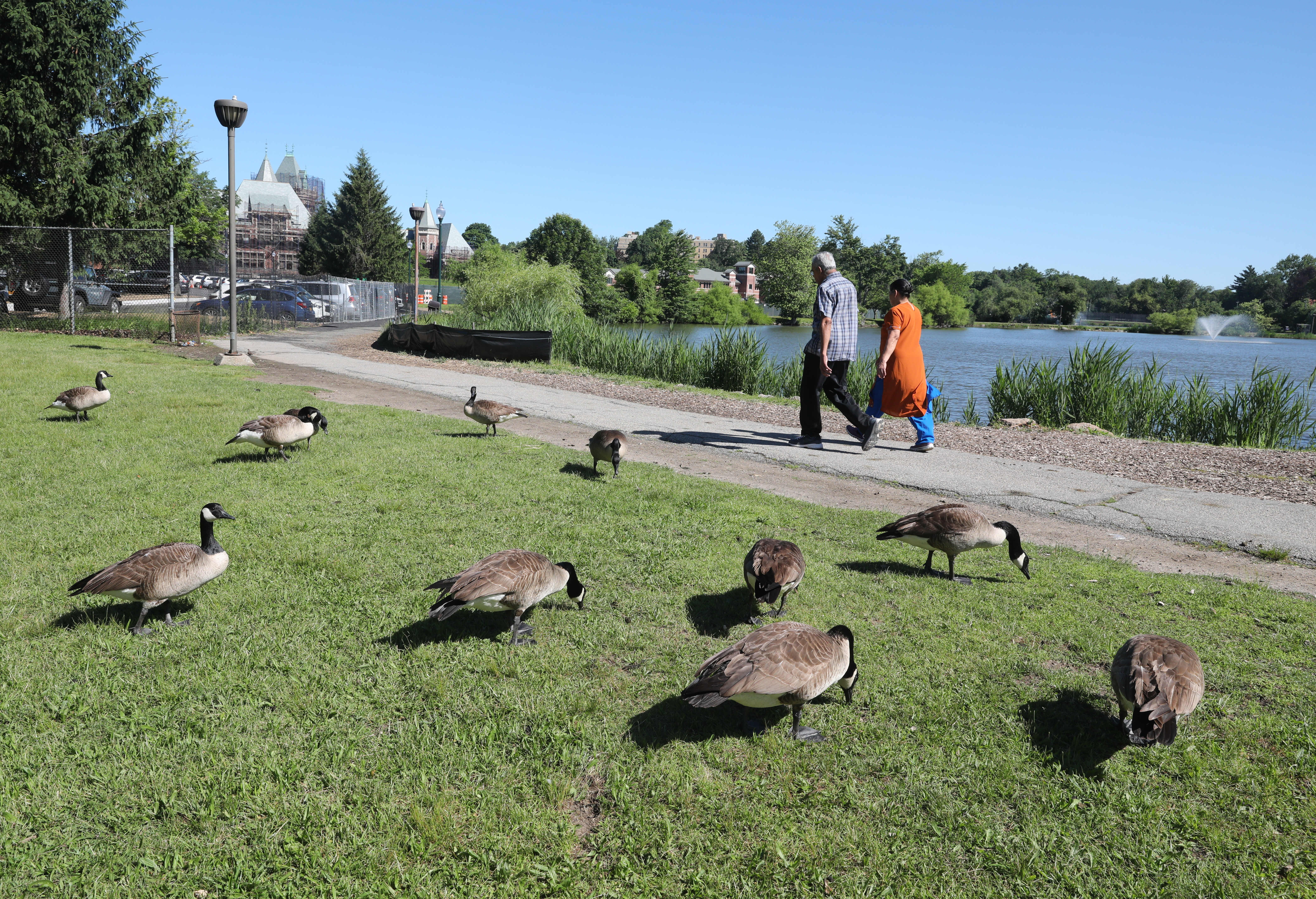 Canada goose deals jobs 2018