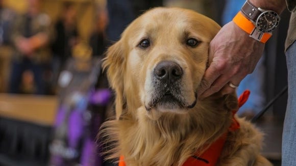 Pheasant Fest 2018 Fan Guide How To Hunt Down Exhibits