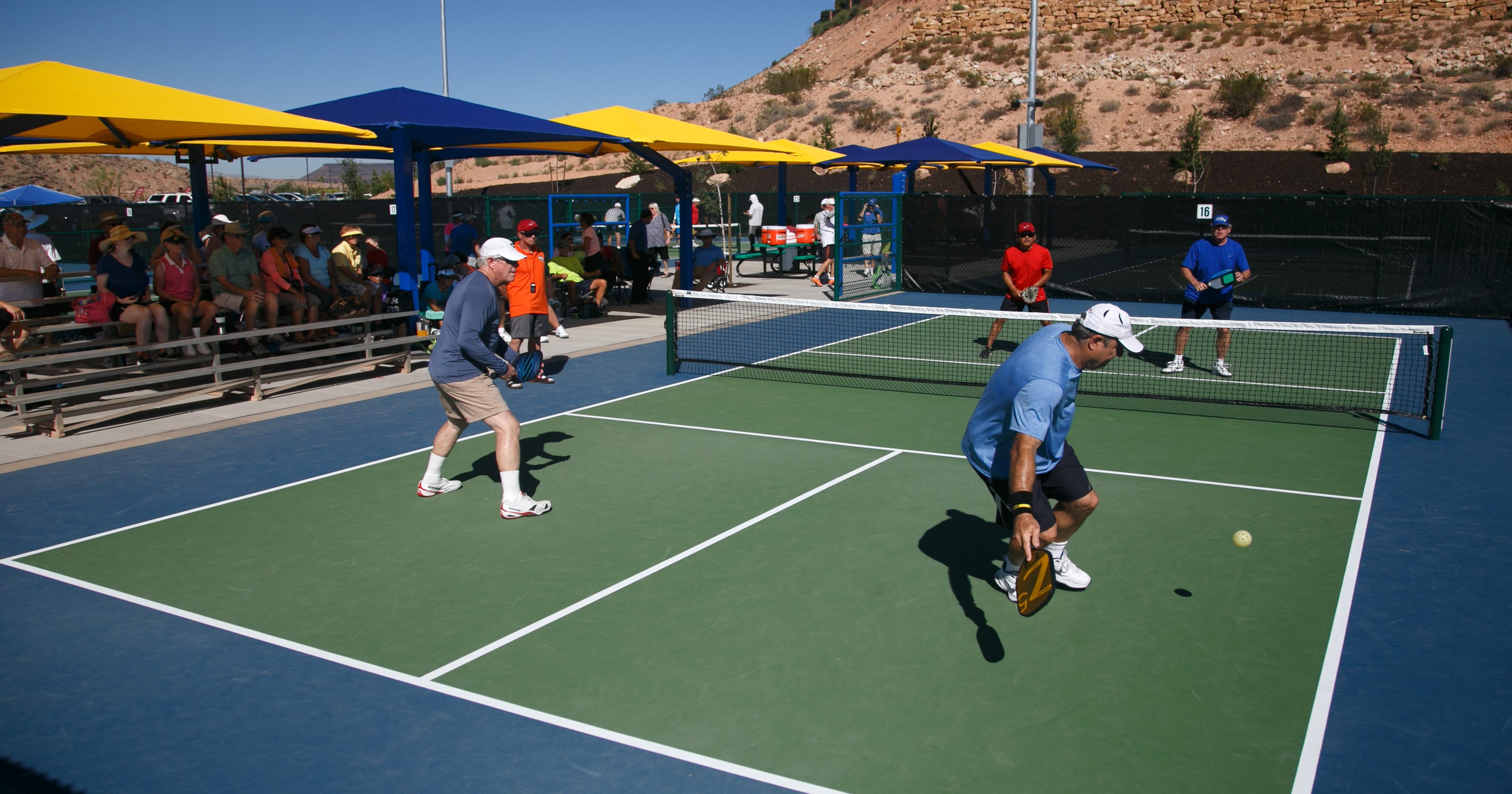 Pickleball gaining in popularity