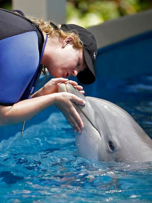 FILE - In this April 10, 2014, file photo, Sea World trainer Aubrey Taylor interacts with Bossa the dolphin, in Orlando, Fla. SeaWorld Parks & Entertainment is partnering with a United Arab Emirates company to build a theme park in Abu Dhabi in what will be the first SeaWorld park outside the United States and without orcas.