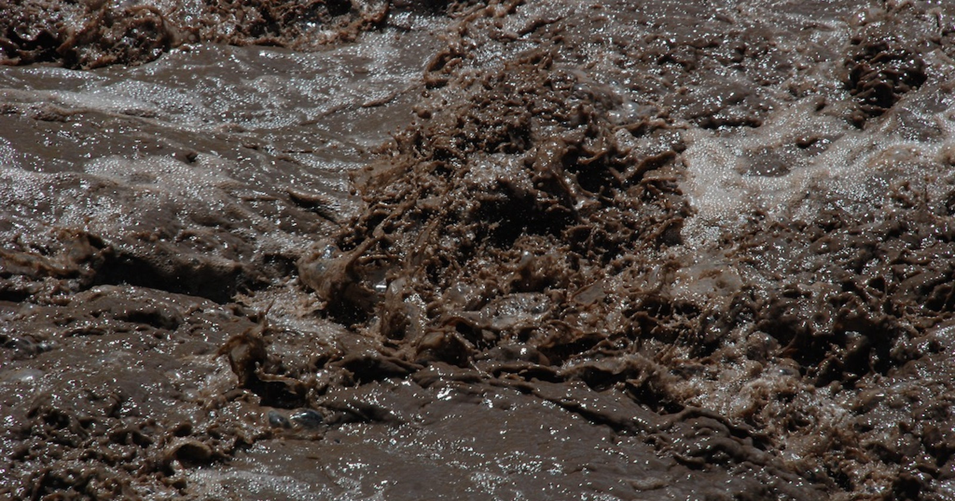 New smartphone app allows anyone to be muddy water cop