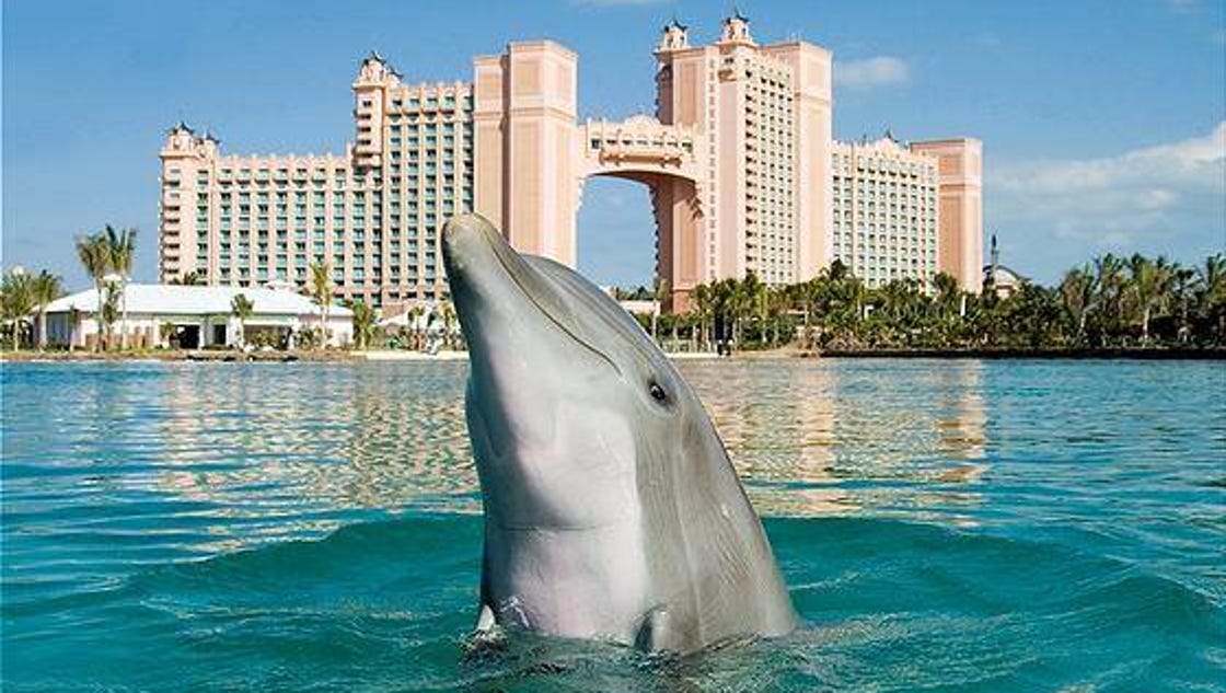 Caribbean Resort Photo Tour Atlantis Paradise Island