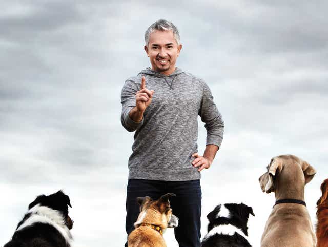 A Life Lesson From The Dog Whisperer