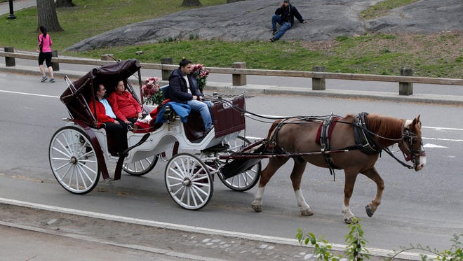 In this April 28, 2014 file photo, a horse-drawn carriage takes passengers for a ride around Central Park in New York.