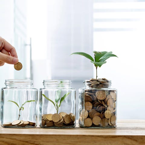 Three jars with coins and a plant growing inside