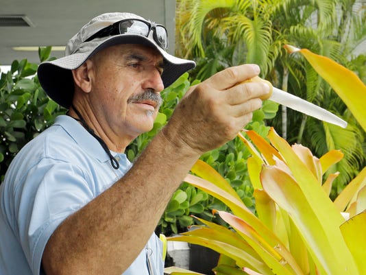 Seven New Zika Cases In South Florida