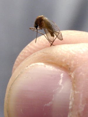 A Hamilton County man is one of the first two cause of West Nile virus this year in Ohio. The illness is carried by mosquitos.