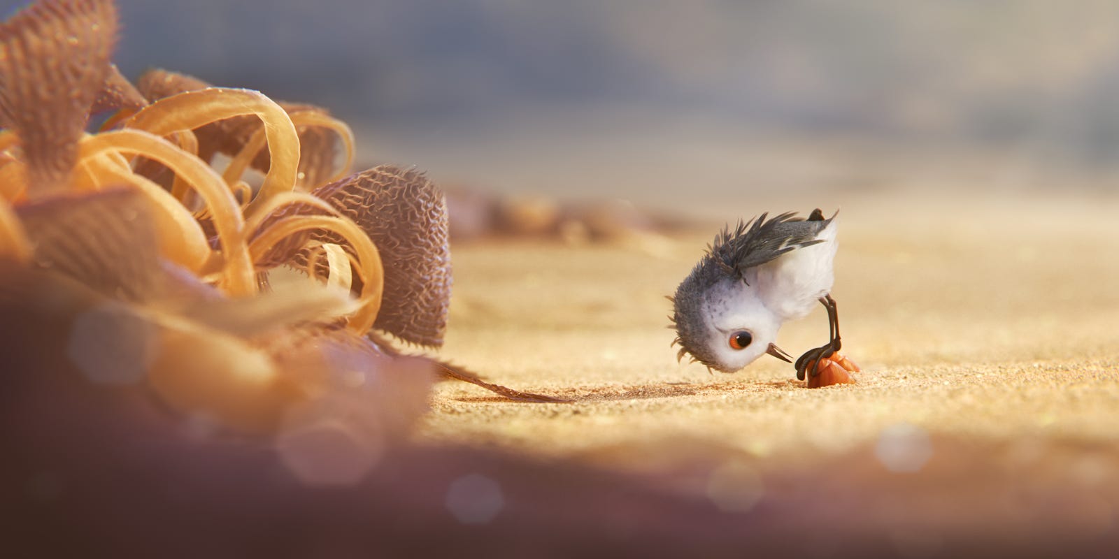 Exclusive: Meet Pixar's plucky new sandpiper star 'Piper' Exclusive: Meet Pixar's plucky new sandpiper star 'Piper'