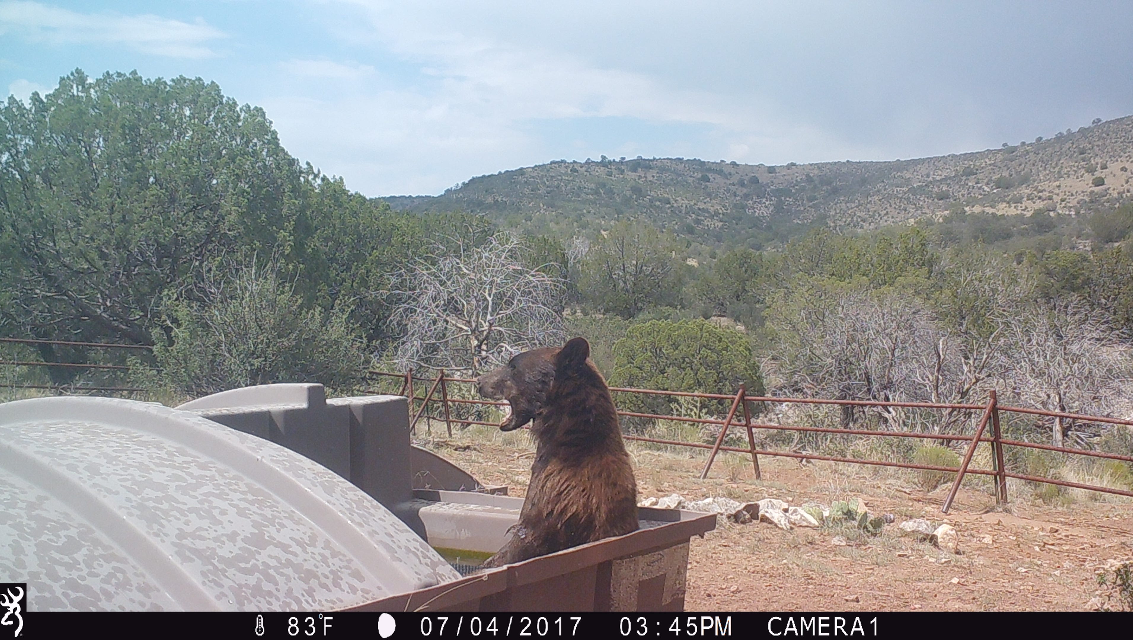 Southern New Mexico wildlife projects entice all kinds of critters