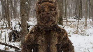 recent bigfoot sightings recent bigfoot sightings