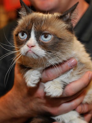 Is Grumpy Cat worth $100 million? Not so much, says her owner, a former