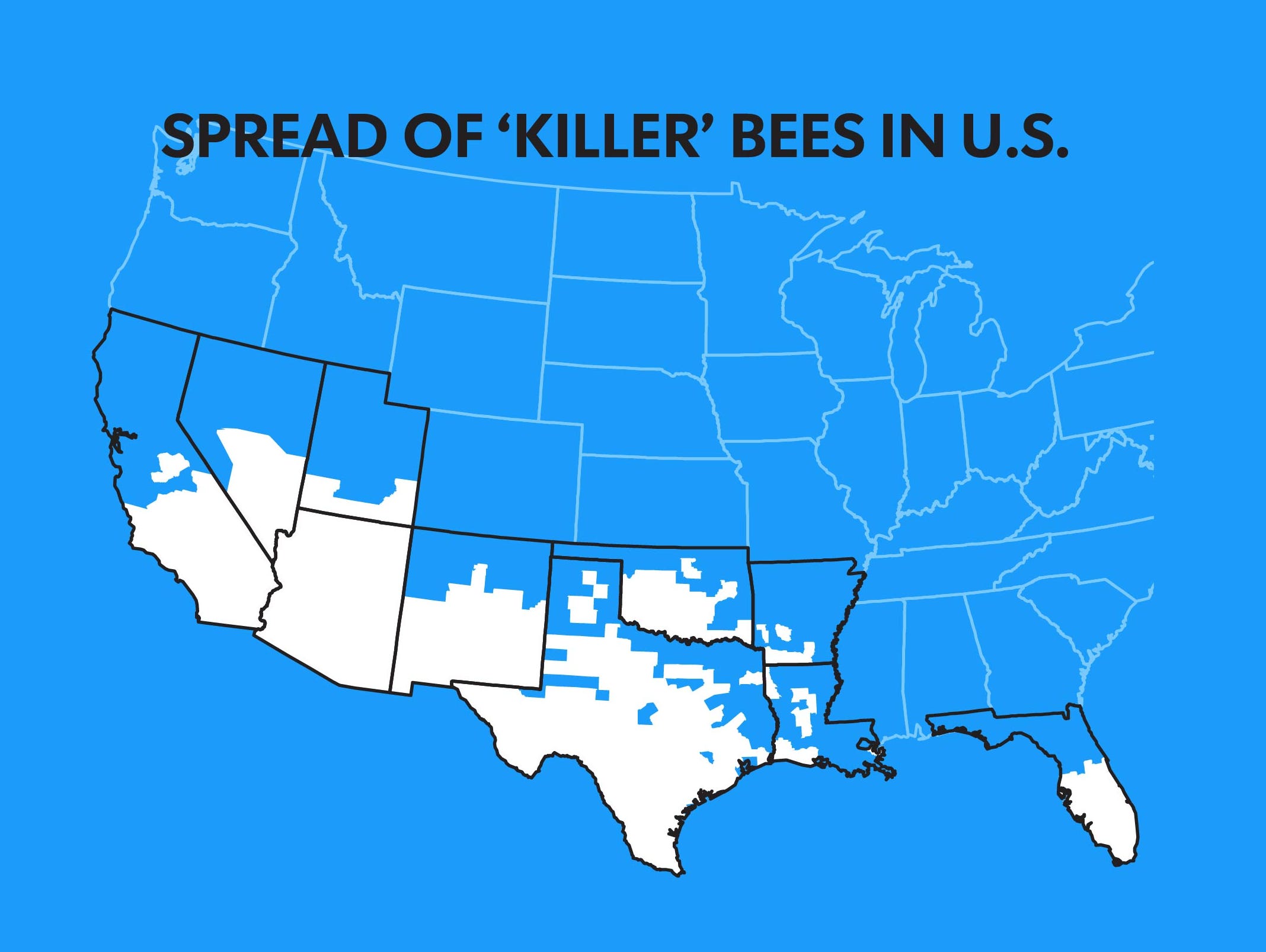 africanized killer bees africanized killer bees