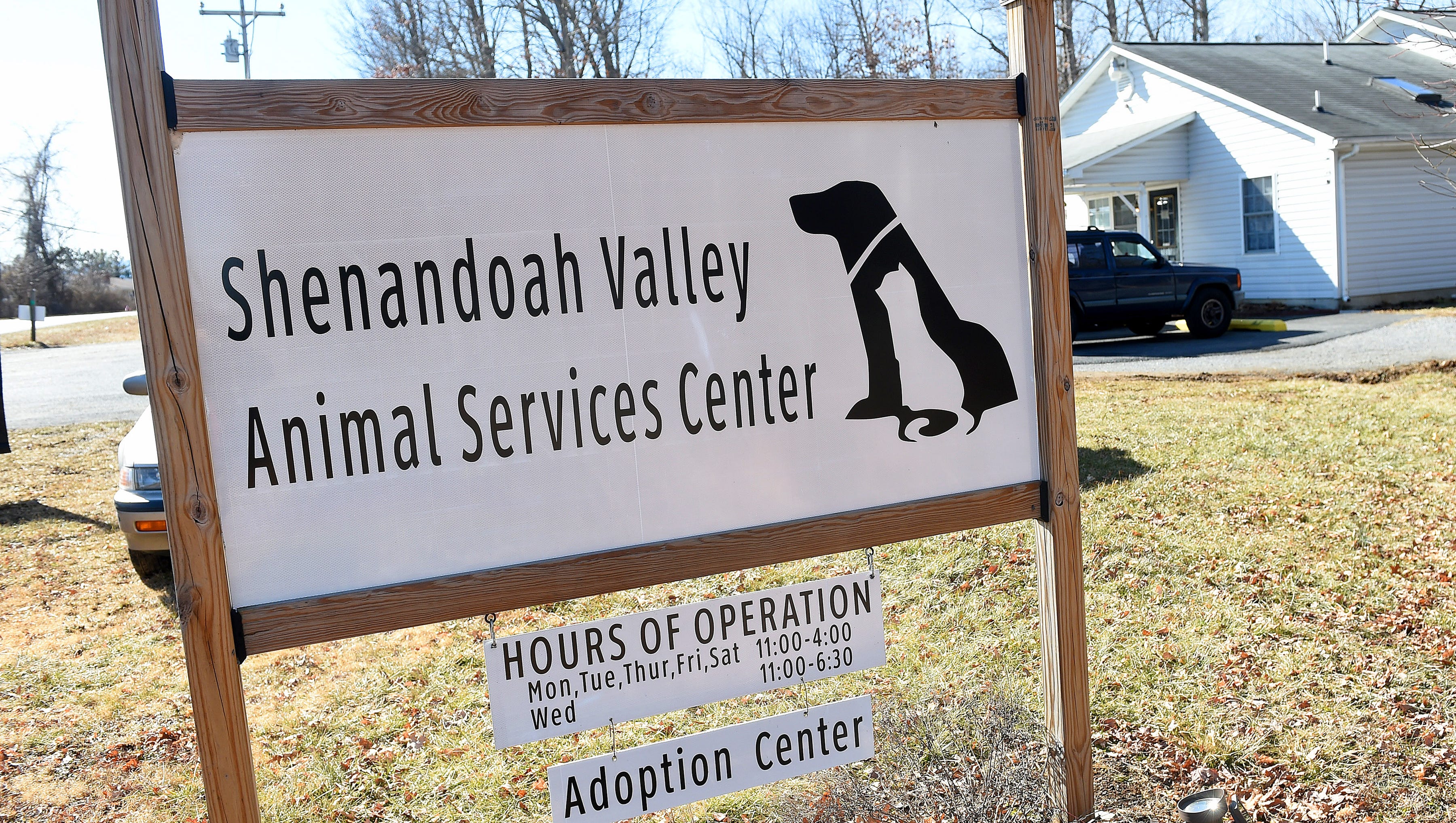 Cats And Dogs Are Still Up For Adoption At Regional Shelter