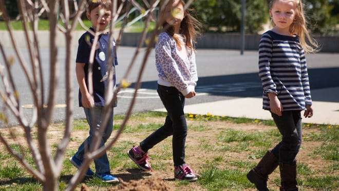 Emma Peeden, 7, right, walks with her classmates around the dogwood tree they helped plant at McSwain Elementary in April 2015.