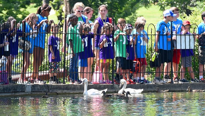 Young participants of the YMCA summer camp program stop long enough to look at the ducks and swans swimming in the recently patched duck pond at Gypsy Hill Park on Tuesday, July 19, 2016.