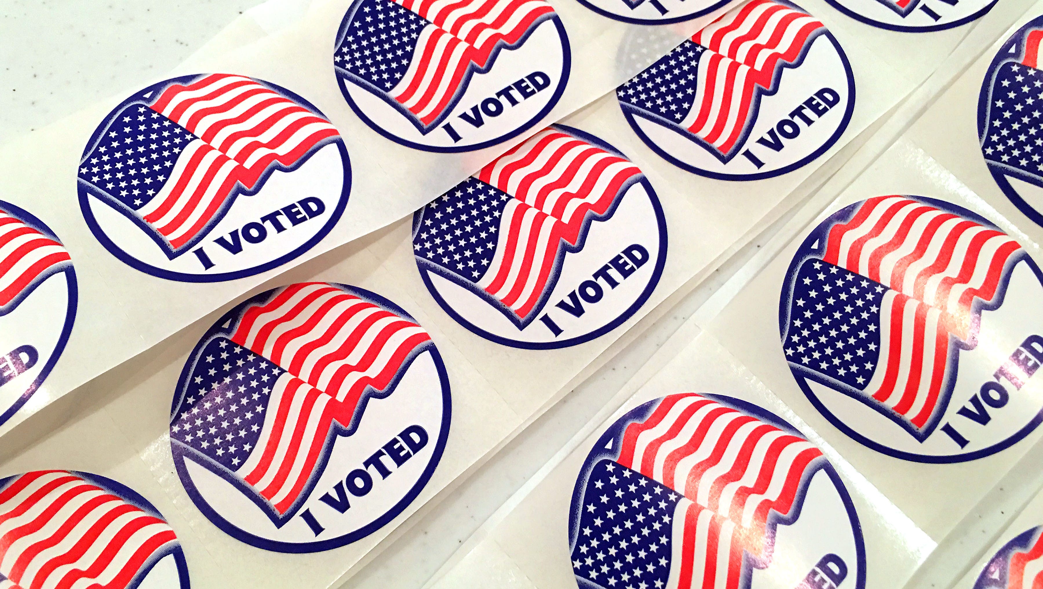 Virginia primaries are June 12; What to know to vote