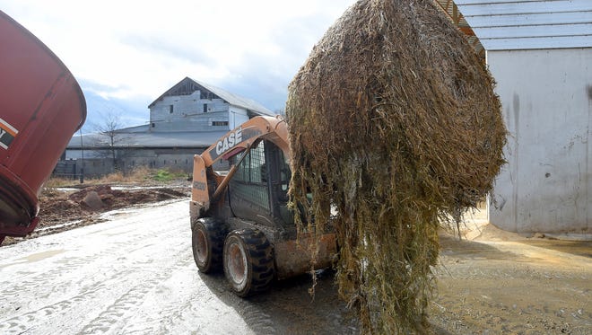 A skid steer brings out a round bale of hemp to be shredded at Riverhill Farm in Port Republic on Dec. 12, 2016. 