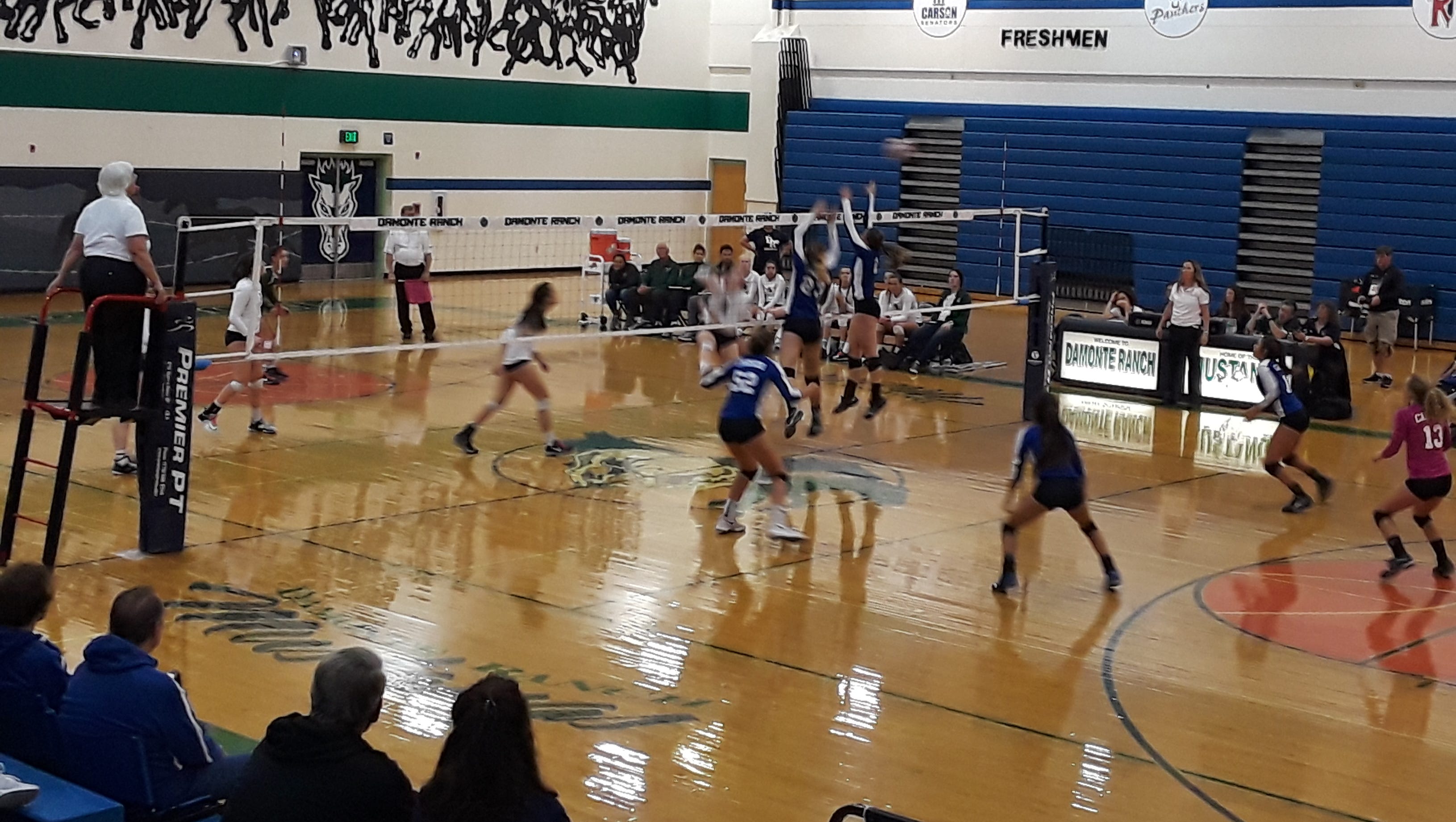 The Damonte Ranch volleyball team has seven sophomores.
