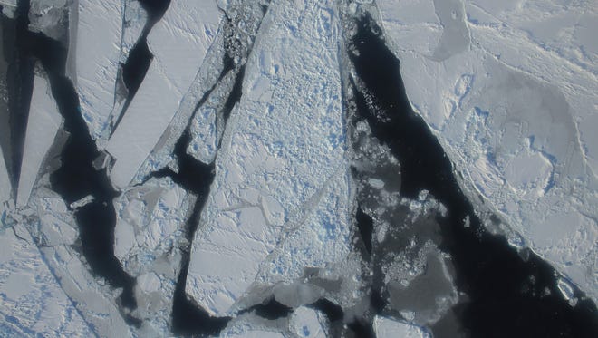 Ice floes float in the Arctic's East Beaufort Sea in 2015.