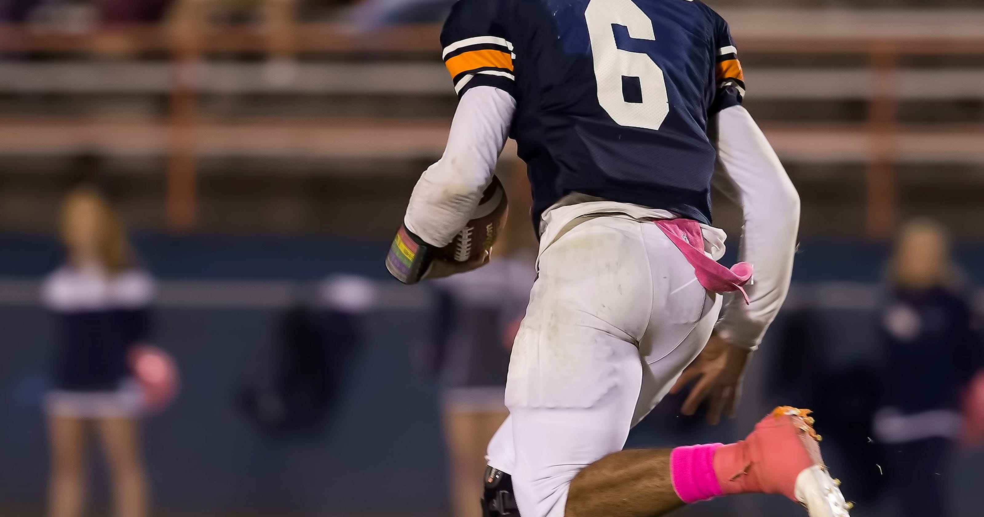 Dickson County high school football preview for Week 10
