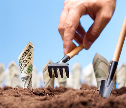 Planting hundred dollar bills in the ground.