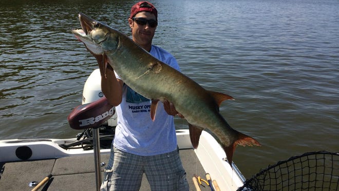 
Jared Adamovich caught this 42 1/2 inch muskie at the National Championship Musky Open held August 15 to 17, 2014 in Eagle River.
