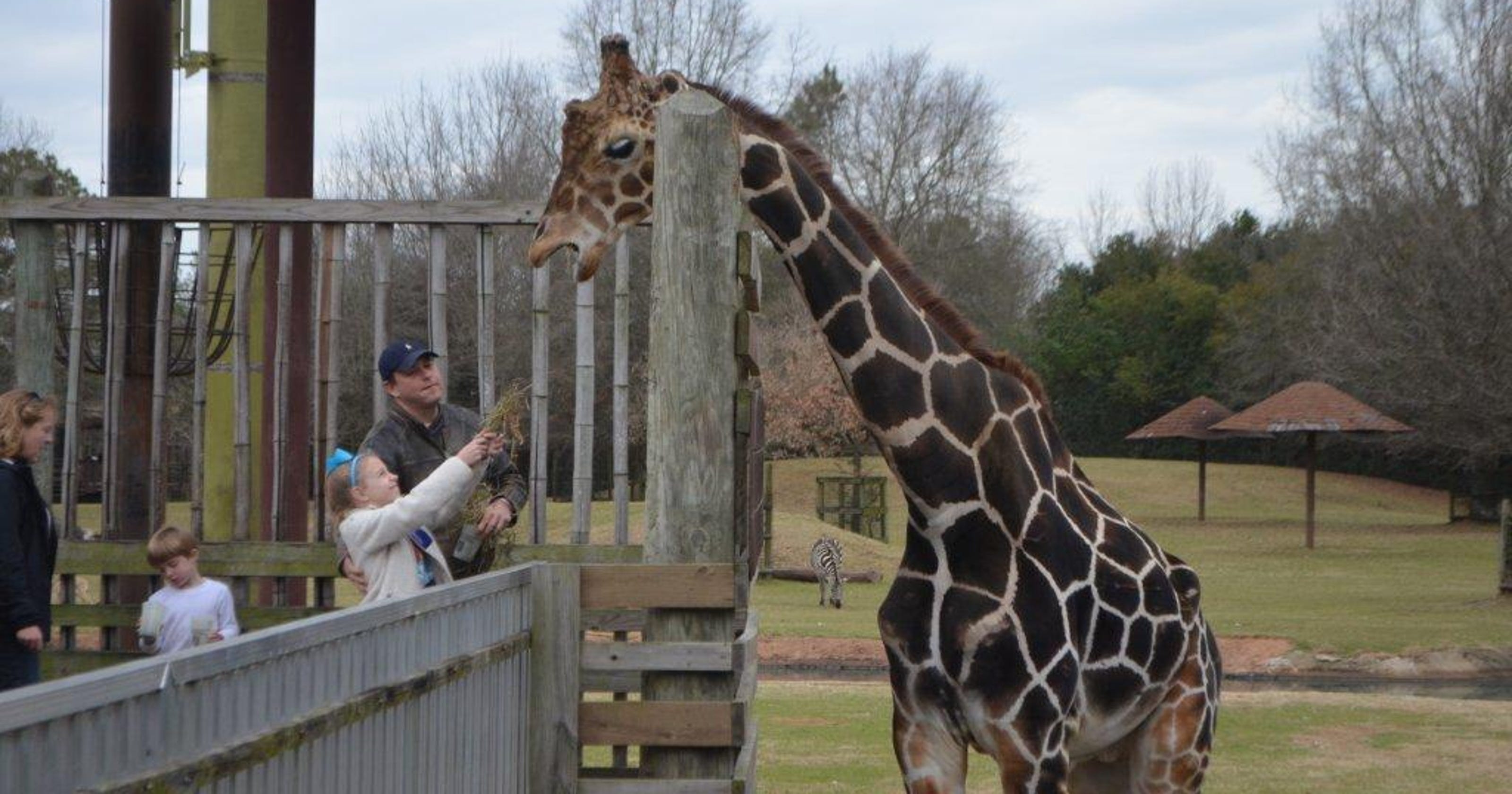 Montgomery Zoo animals get super treatment