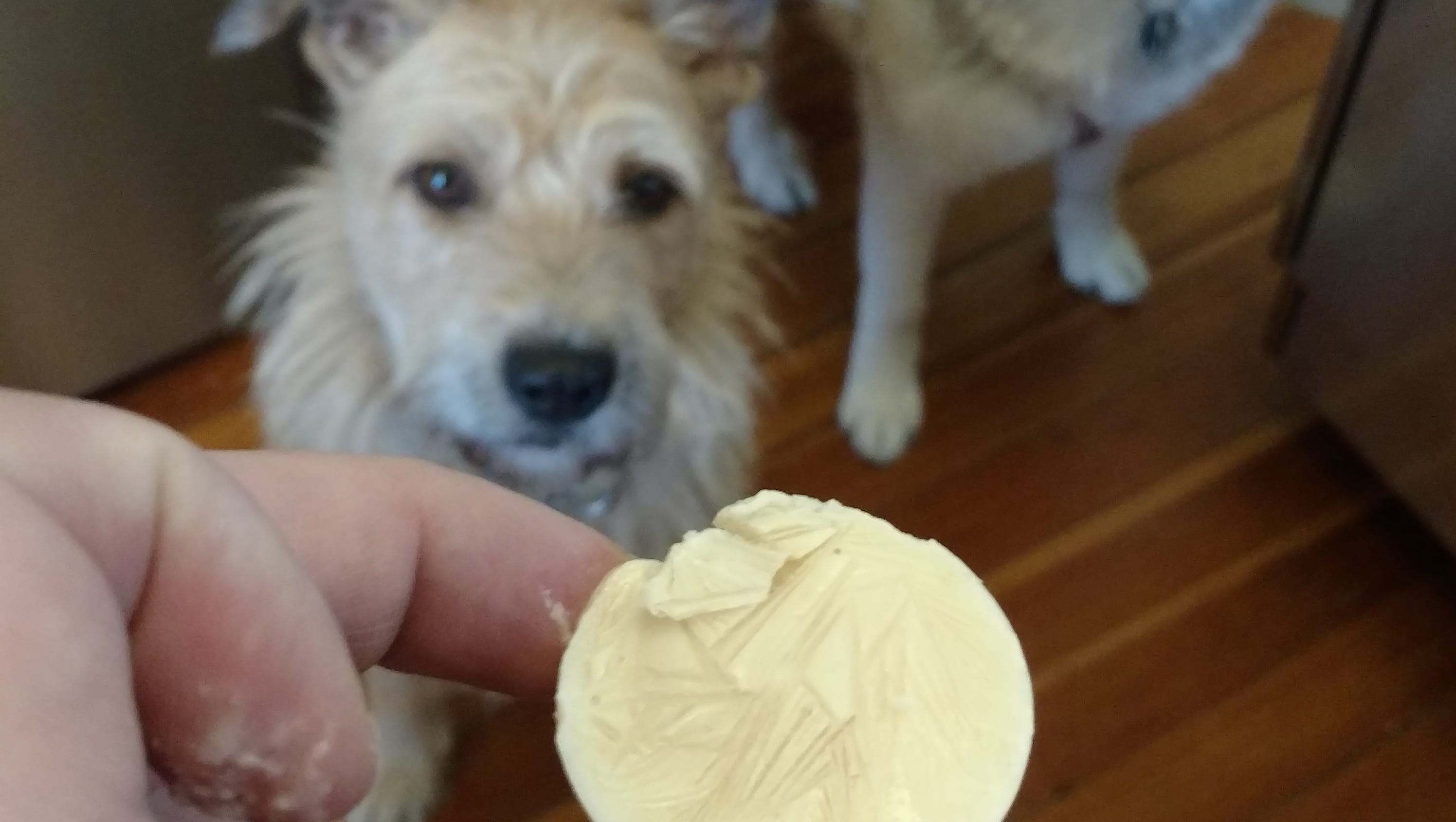 Dog ice cream recipe with peanut butter, banana, honey and yogurt