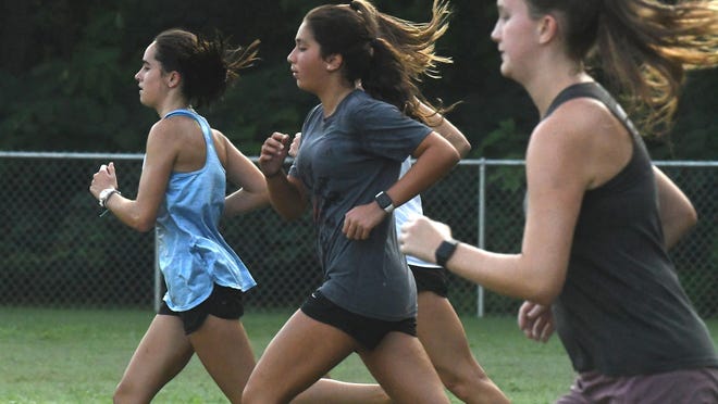 Isabella Loue, Jillian Green and the rest of the defending state champion Hoggard girls cross country team won't toe the starting line until at least Sept. 1 after the NCHSAA's decision about fall sports made Wednesday.