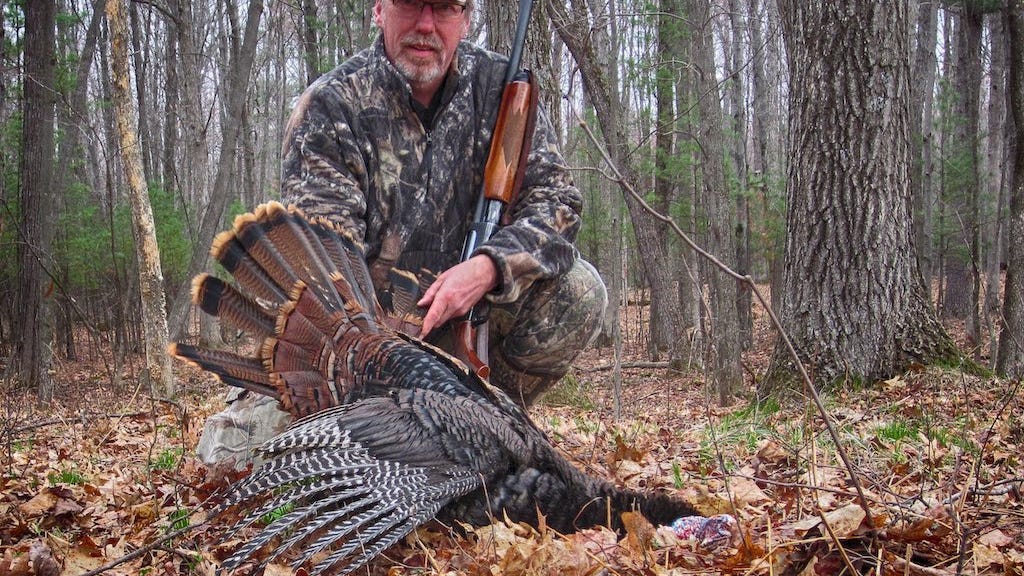 BobbN Head Hen Turkey Decoy