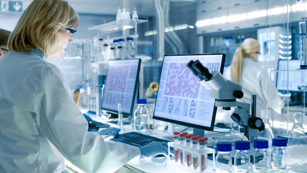 Two female scientists edit a gene sequence in a laboratory.