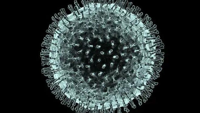 An electron microscope image-based illustration of the 2019 novel coronavirus (2019-nCoV) responsible for the current epidemic following an outbreak in Wuhan, China. Image provided by Dr. Daniel Haight.