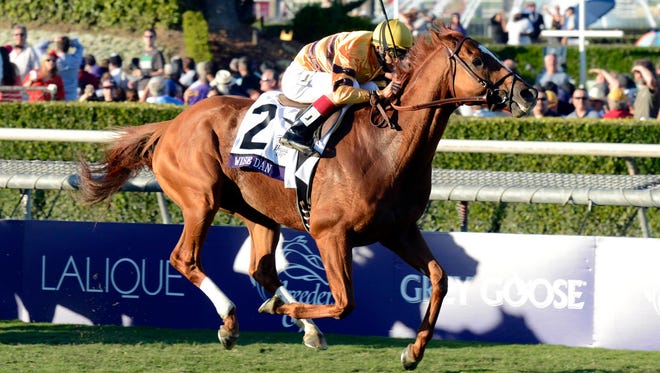 Horse Of The Year Is An Easy Choice Wise Dan