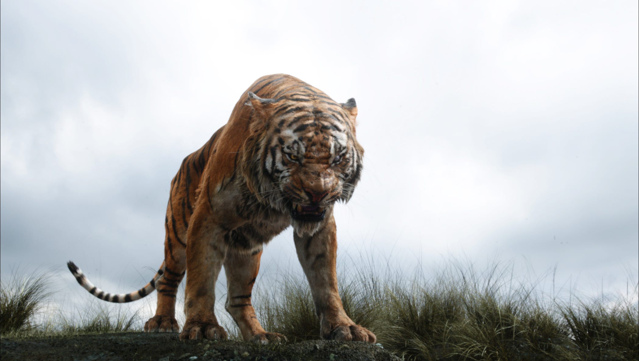 Spoilers Jungle Book Director Discusses That Shocking Screen Death Mowgli gets into a fight with the albino cub and later finds his bhoot is an irrepressibly sweet albino wolf cub who takes it upon himself to befriend mowgli. spoilers jungle book director