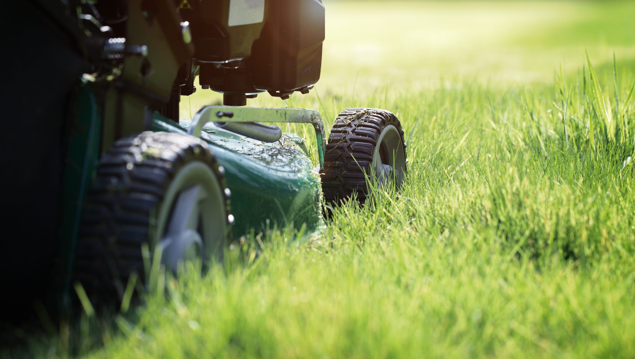 When to plant grass seed, how to repair patchy spots and other lawn care tips you need