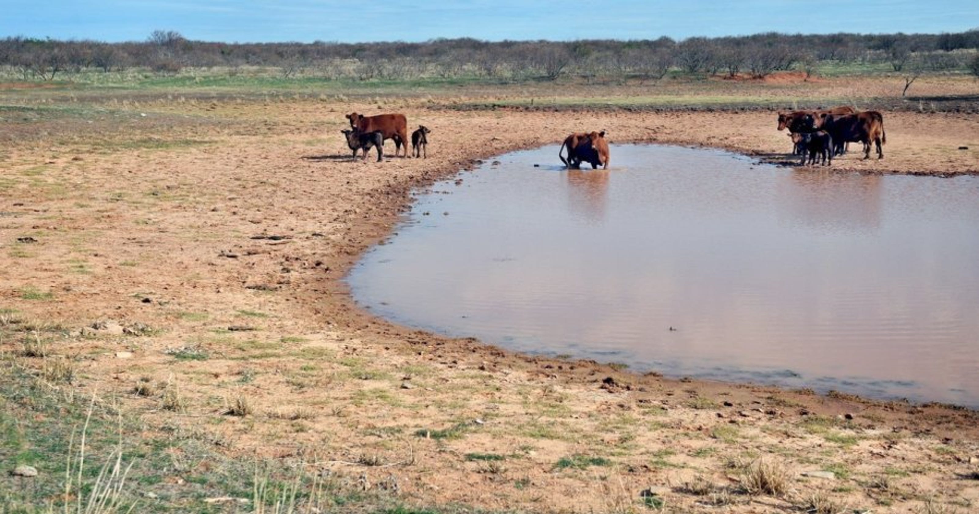 Imagine a Day Without Water highlights resource - Times Record News