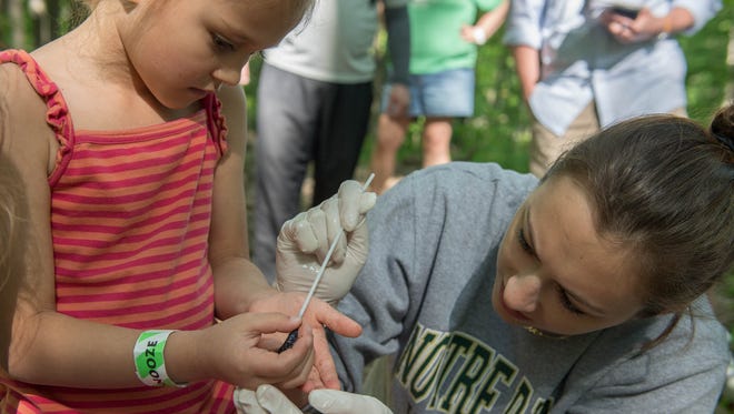 Milo Wahr holds a salamander as Hillsdale College student Erin Flaherty swabs for DNA sample as part of a study at Binder Park Zoo on Sunday.