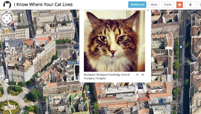 I Know Where Your Cat Lives Maps Kitty Photos