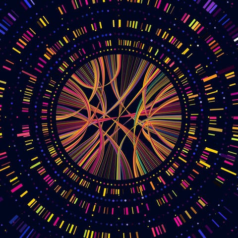 A visualization of connections between regions of 