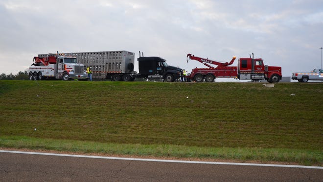 A truck carrying cattle overturned on Interstate 20 westbound Friday morning.