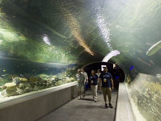 OdySea Aquarium in Scottsdale to offer underwater sea walk