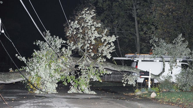 A tree fell onto power lines on Dartmouth Street in Brockton, Wednesday, Oct. 7.