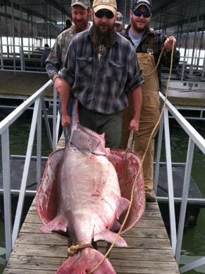 Andy Belobraydic needed a wheelbarrow to move his record paddlefish.