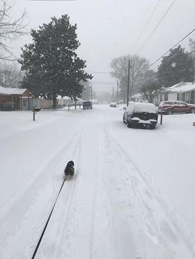 West Tennessee experienced ice and snow Friday, Jan. 12, 2018. Here are a few of our reader submitted photos via Facebook and Twitter.